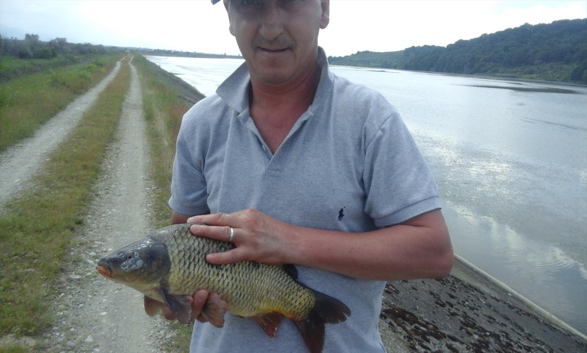 Albu Cornel - R. - 20170605150413.jpg